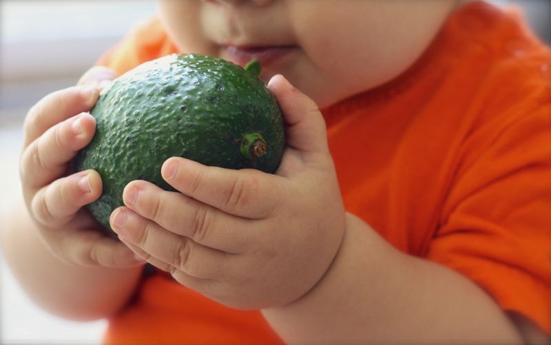 Petit Poucet. Agir en faveur de comportements nutritionnels favorables à la santé de l’enfant de 0 à 3 ans